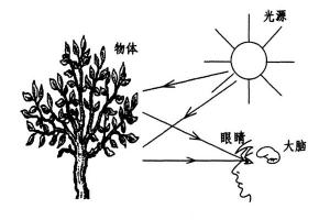 顏色形成有哪些條件